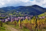 Fribourg, sur la route des vins