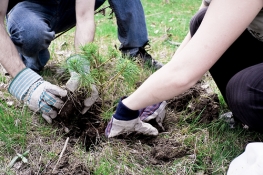 Plantons pour la planète