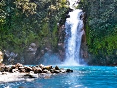 Costa Rica, au paradis des oiseaux